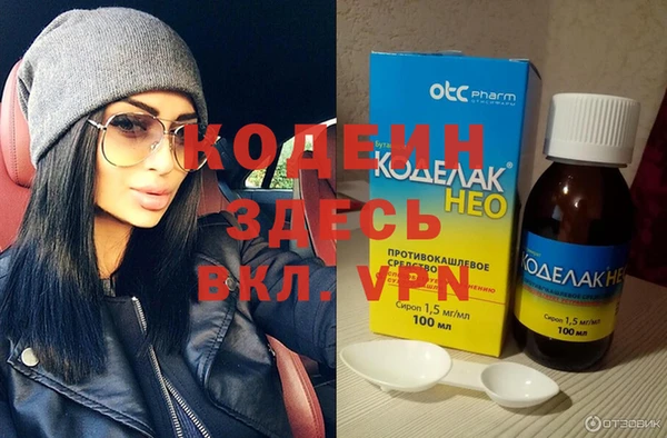 шишки Карпинск