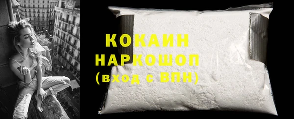 шишки Карпинск