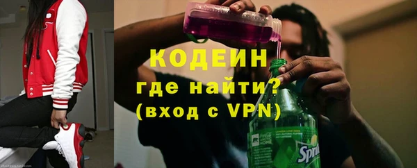 шишки Карпинск