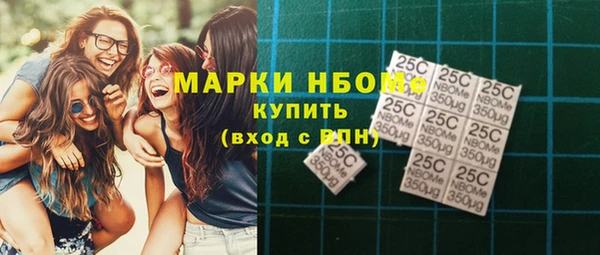 шишки Карпинск